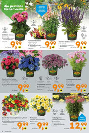 Globus Baumarkt Prospekt woche 25 Seite 4