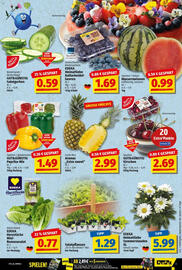 NP Discount Prospekt woche 25 Seite 3
