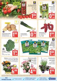 Marktkauf Prospekt woche 25 Seite 3