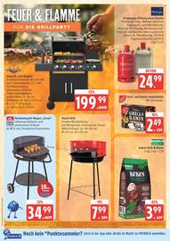 Marktkauf Prospekt woche 25 Seite 36