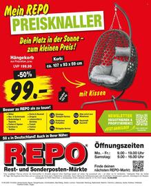 Repo Markt Prospekt woche 25 Seite 16