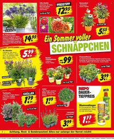 Repo Markt Prospekt woche 25 Seite 2