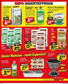 Repo Markt Prospekt woche 25 Seite 3
