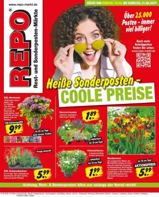 Repo Markt Prospekt (gültig bis 21-06)