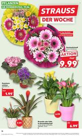 Kaufland Prospekt woche 25 Seite 16