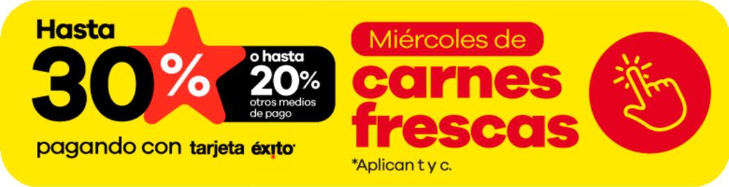 Catálogo Éxito semana 25 Página 1