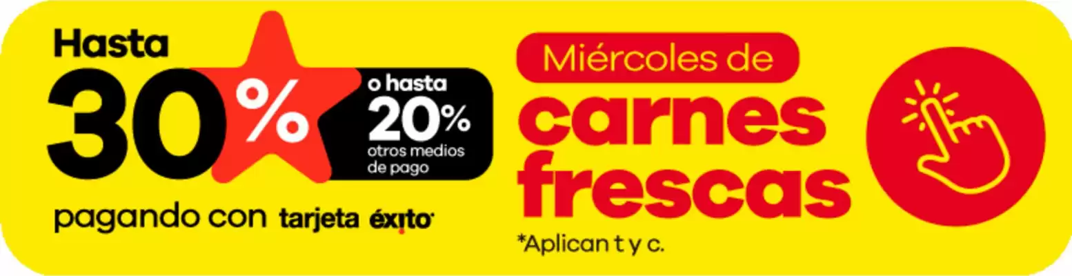 Catálogo Éxito (válido hasta 22-06)
