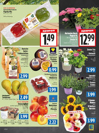 EDEKA Hahner Prospekt woche 25 Seite 12