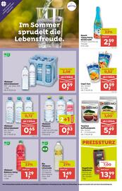 ADEG Flugblatt woche 24 Seite 8