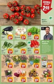 REWE Center Prospekt woche 25 Seite 7
