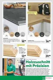 BayWa Prospekt woche 25 Seite 13