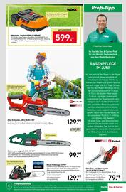 BayWa Prospekt woche 25 Seite 17