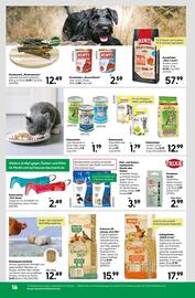 BayWa Prospekt woche 25 Seite 18
