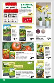 BayWa Prospekt woche 25 Seite 20