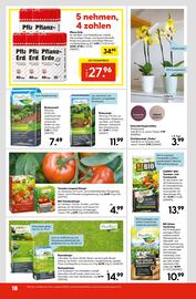 Hellweg Prospekt woche 25 Seite 20
