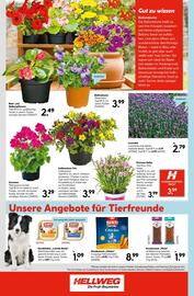 Hellweg Prospekt woche 25 Seite 22