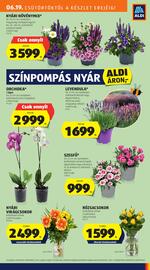 ALDI akciós újság Oldal 9