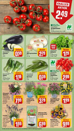 REWE Prospekt woche 25 Seite 7
