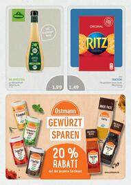 Edeka Struve Prospekt woche 25 Seite 15