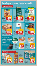 REWE Prospekt woche 25 Seite 29