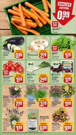 REWE Prospekt woche 25 Seite 7