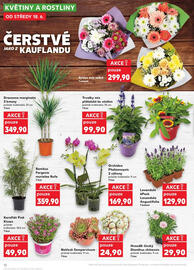 Kaufland leták týden 25 Strana 12