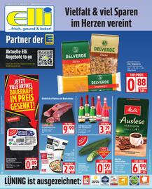 Elli Markt Prospekt woche 25 Seite 1