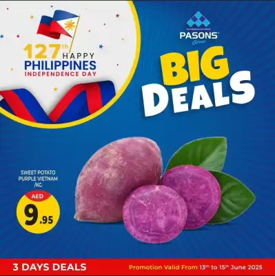 Pasons catalogue (valid until 15-06)