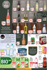 Globus Prospekt woche 25 Seite 16