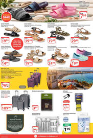 Globus Prospekt woche 25 Seite 19
