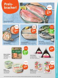basic Prospekt woche 25 Seite 11