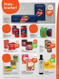 basic Prospekt woche 25 Seite 17