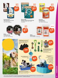 basic Prospekt woche 25 Seite 21