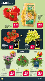 NETTO Prospekt Seite 3
