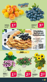 NETTO Prospekt Seite 4