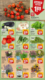 REWE Prospekt woche 25 Seite 7