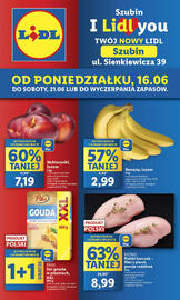 Lidl gazetka tydzień 25 Strona 1