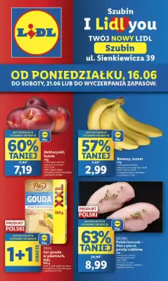 Lidl gazetka (ważność do 21-06)