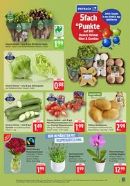 EDEKA Berger Prospekt woche 25 Seite 3