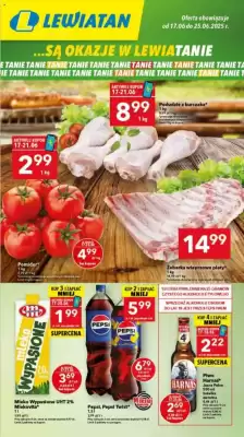 Lewiatan gazetka (ważność do 25-06)
