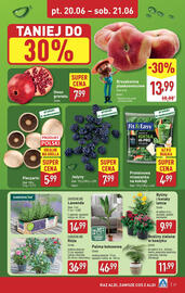 ALDI gazetka tydzień 25 Strona 29