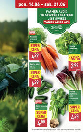 ALDI gazetka tydzień 25 Strona 5