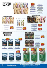 AT gazetka Strona 42