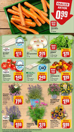 REWE Prospekt woche 25 Seite 7