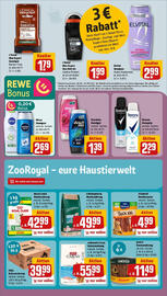 REWE Prospekt woche 25 Seite 19