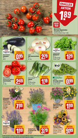 REWE Prospekt woche 25 Seite 7