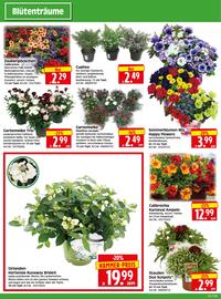 Herkules Baumarkt Prospekt woche 25 Seite 2