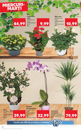 Catalog Kaufland săptămâna 25 Pagină 26