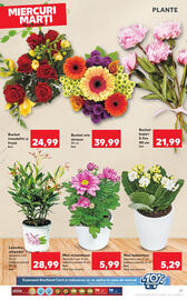 Catalog Kaufland săptămâna 25 Pagină 27