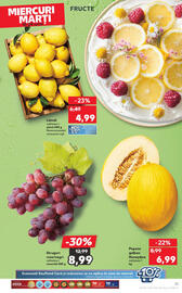 Catalog Kaufland săptămâna 25 Pagină 21